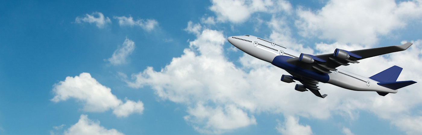 flight